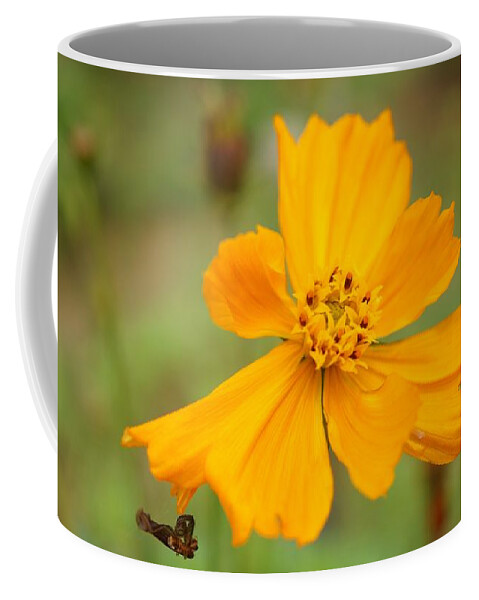 Flower Coffee Mug featuring the photograph Yellow Flower by Faa shie