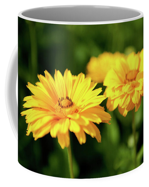 Flowers Coffee Mug featuring the photograph Yellow Flowers by Rich S
