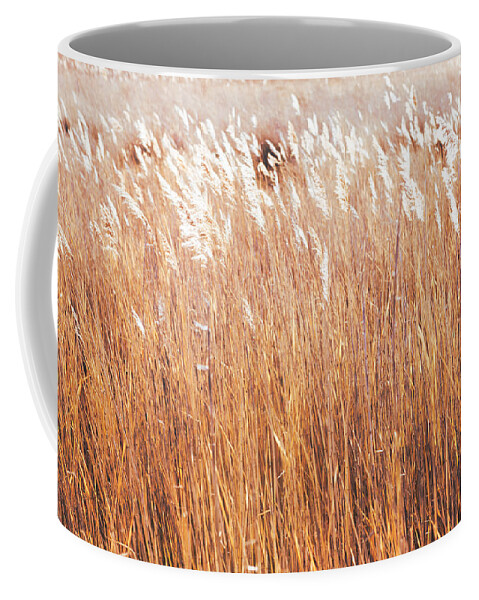 Utah Coffee Mug featuring the photograph Yellow Grasses by Mark Gomez