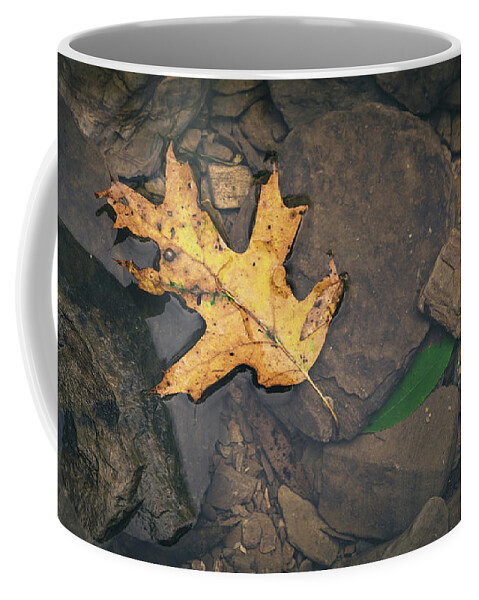 Oak Coffee Mug featuring the photograph Yellow Leaf Floating Above Stones by Jason Fink