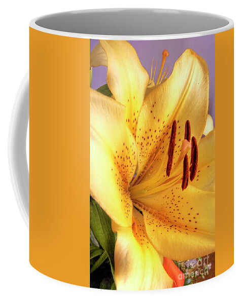 Lily Coffee Mug featuring the photograph Yellow Lily by Paolo Signorini