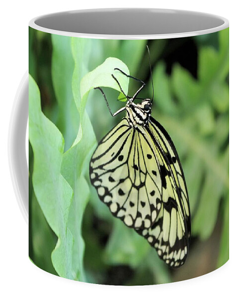 Monarch Coffee Mug featuring the photograph Yellow Monarch Butterfly by Pour Your heART Out Artworks