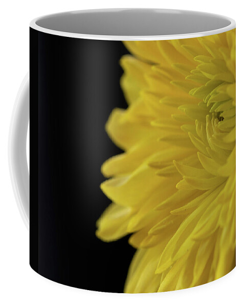 Chrysanthemum Coffee Mug featuring the photograph Yellow Mum by Kevin Schwalbe