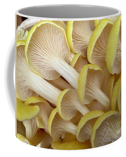 Yellow Mushrooms Coffee Mug featuring the photograph Yellow Mushroom Series 1-3 by J Doyne Miller