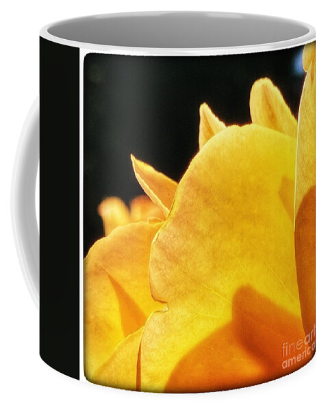 Rose Coffee Mug featuring the photograph Rose Petals by Wendy Golden