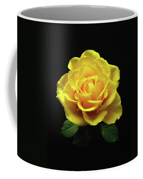 Rose Coffee Mug featuring the photograph Yellow Rose 6 by Johanna Hurmerinta