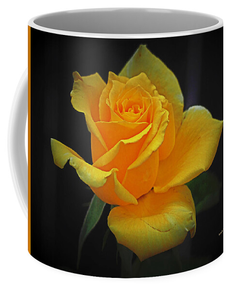 Botanical Coffee Mug featuring the photograph Yellow Rose August by Richard Thomas