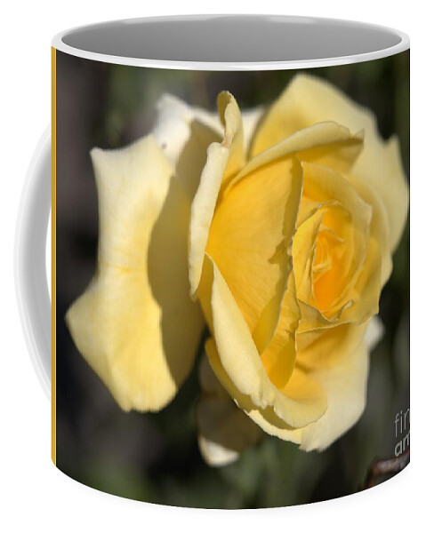 Botanical Coffee Mug featuring the photograph Yellow Rose Speaking by Richard Thomas