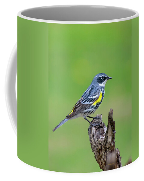 Birds Coffee Mug featuring the photograph Yellow Rumped Warbler by Christina Rollo