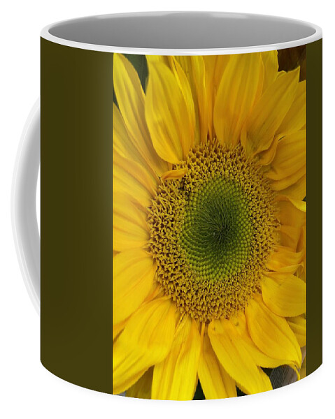 Sunflower Coffee Mug featuring the photograph Yellow Sunflower by Lisa Pearlman
