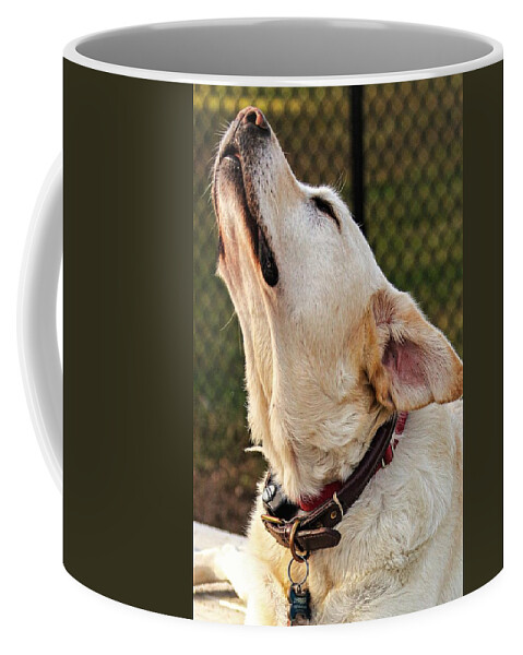 Dog Coffee Mug featuring the photograph Yellow1 by John Linnemeyer