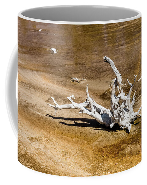 Yellowstone Coffee Mug featuring the photograph Yellowstone by Alberto Zanoni