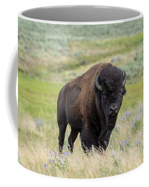Bison Coffee Mug featuring the photograph Yellowstone Bull Bison by Julie Barrick