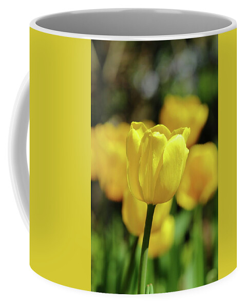 Nature Coffee Mug featuring the photograph Yo, Yellow by Lens Art Photography By Larry Trager