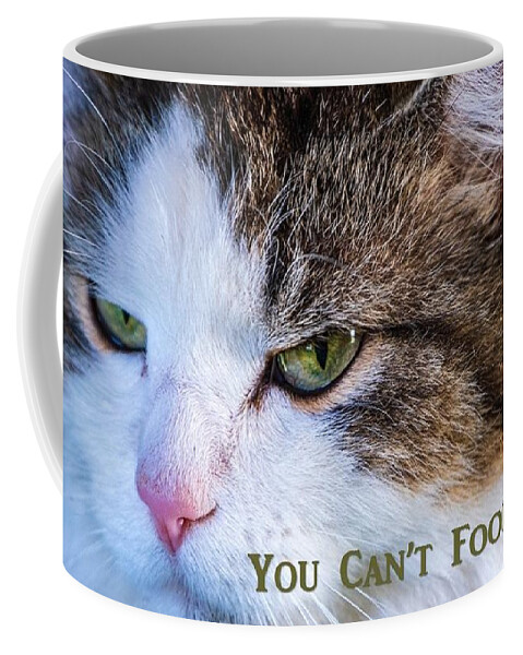 Cat Coffee Mug featuring the photograph You Can't Fool Me by Nancy Ayanna Wyatt