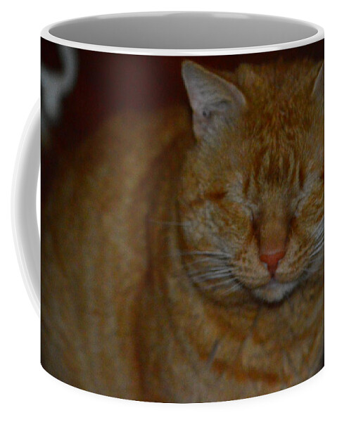 Cat Coffee Mug featuring the photograph You can't see me by Stacie Siemsen