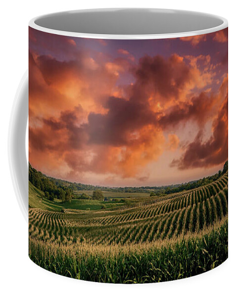 Iowa Coffee Mug featuring the photograph You Know It Must Be Iowa by Mountain Dreams