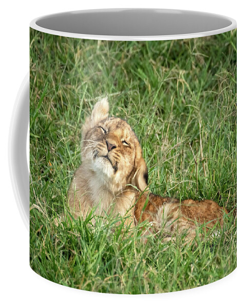 Cub Coffee Mug featuring the photograph You lion cub, panthera leo, shakes his head. He is lying in the long grass of the Masai Mara by Jane Rix