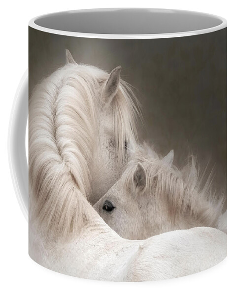 Stallion Coffee Mug featuring the photograph Young and Old. by Paul Martin