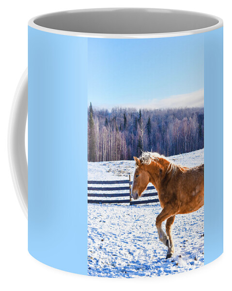 Winter Coffee Mug featuring the photograph Young Juno by Listen To Your Horse