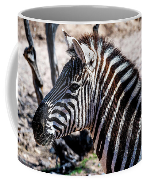 Coffee Mug featuring the photograph Zebra by Al Judge