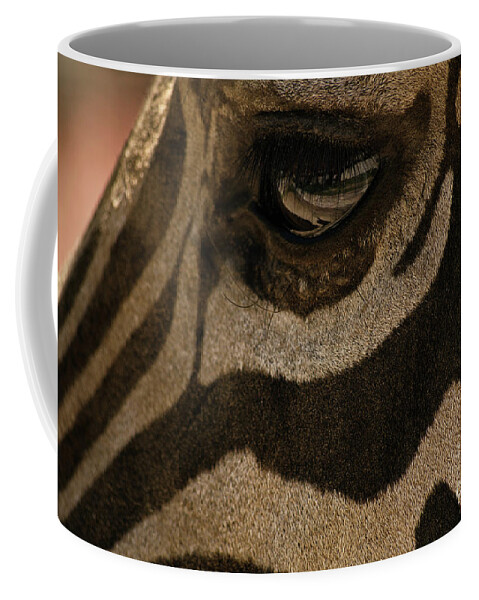 Zebra Coffee Mug featuring the photograph Zebra's eye by Mendelex Photography
