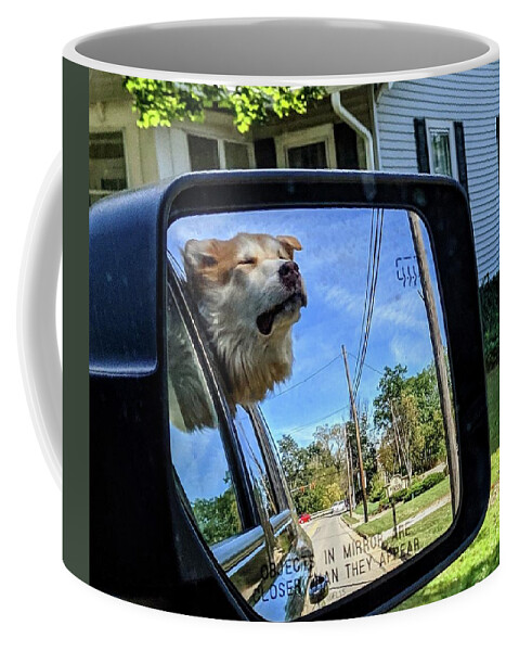  Coffee Mug featuring the photograph Zen Doggo by Brad Nellis