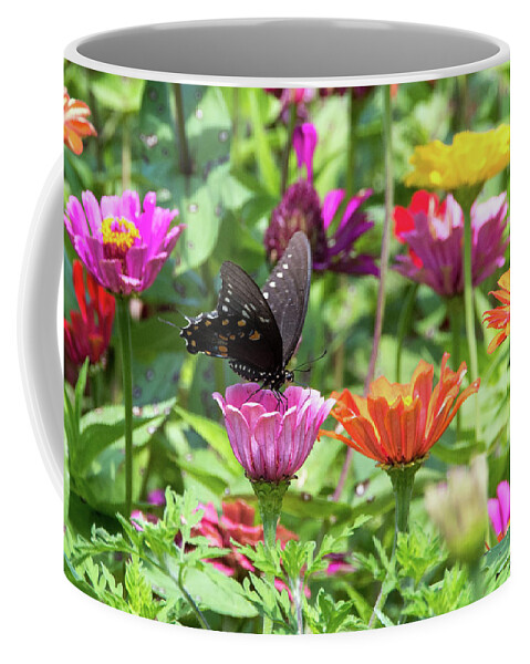 Missouri Coffee Mug featuring the photograph Zinnias and Swallowtail by Steve Stuller