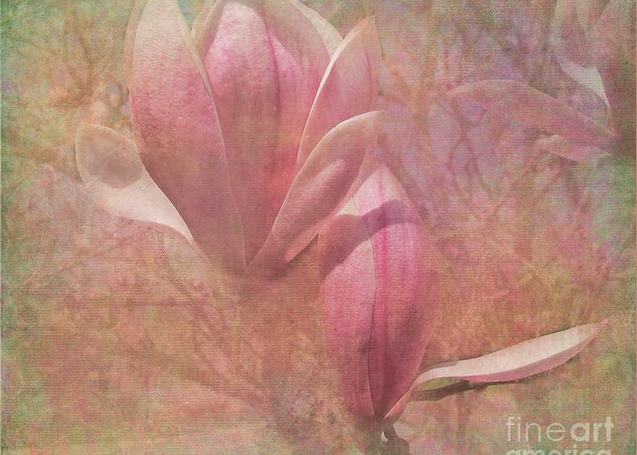 Magnolia Greeting Card featuring the photograph A Peek Of Spring by Arlene Carmel