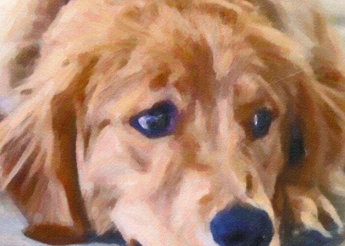 Maggievlazny Greeting Card featuring the painting Golden Retriever Dog by Femina Photo Art By Maggie