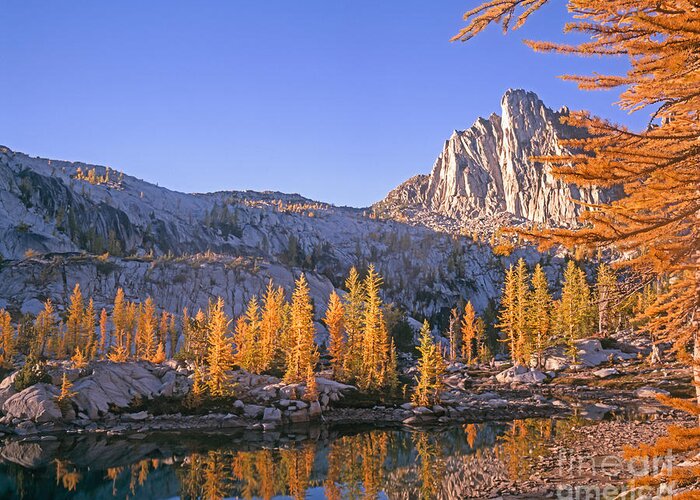 Lake Greeting Card featuring the photograph Prusik Peak behind Larch trees by Tracy Knauer