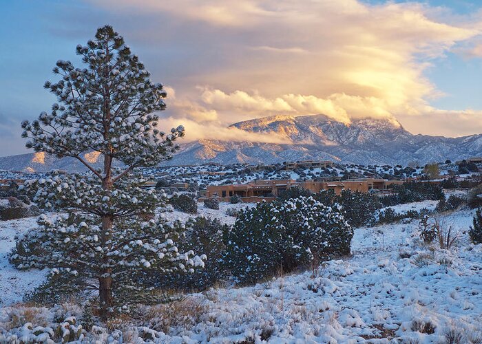 Landscapes Greeting Card featuring the photograph Sandia Mountains with Snow at Sunset by Mary Lee Dereske