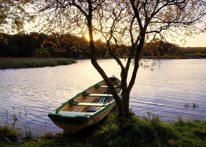 Landscape Greeting Card featuring the photograph Lough Ennell Dawn #2 by Michael Walsh