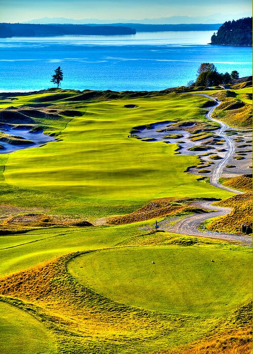 Chambers Bay Golf Course Greeting Card featuring the photograph #5 at Chambers Bay Golf Course - Location of the 2015 U.S. Open Tournament #1 by David Patterson
