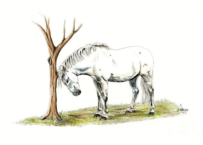 Horse Greeting Card featuring the painting A Good Itch by Shari Nees