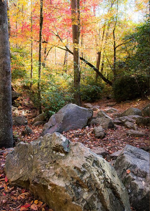 Autumn Greeting Card featuring the photograph A Palette of Colors #2 by Parker Cunningham