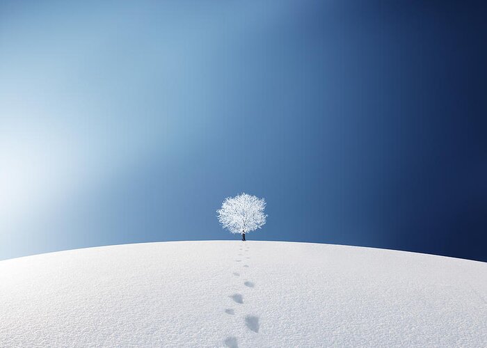 Landscape Greeting Card featuring the photograph A Tree In The Field #1 by Bess Hamiti