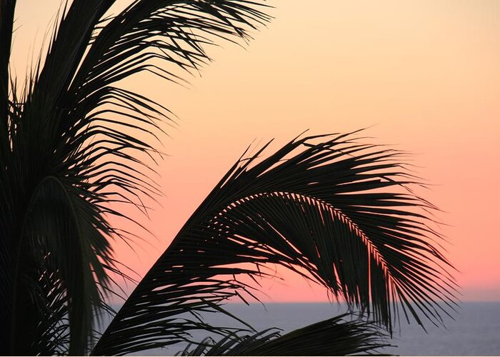 Acapulco Mexico Sunset Ocean Leaves Tree Greeting Card featuring the photograph Acapulco sunset #1 by Linda Russell