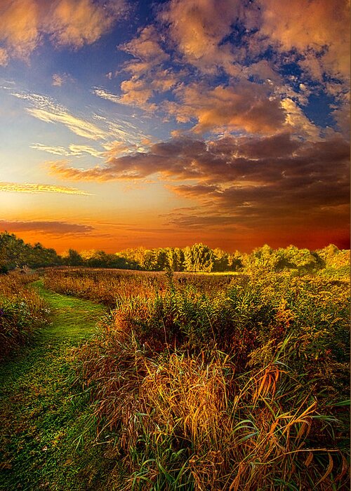 Path Greeting Card featuring the photograph Along The Way #1 by Phil Koch
