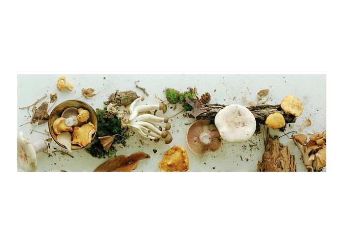 Fruits Greeting Card featuring the photograph An Assortment Of Mushrooms #1 by Romulo Yanes