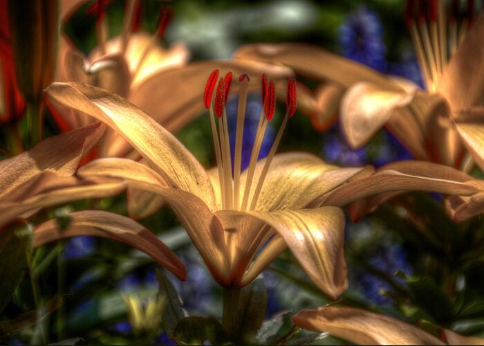 Lily Greeting Card featuring the digital art Asiatic Lily #1 by Robert Nelson