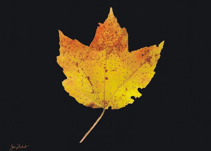 Autumn Greeting Card featuring the photograph Autumn Mountain Maple Leaf #1 by Joe Duket