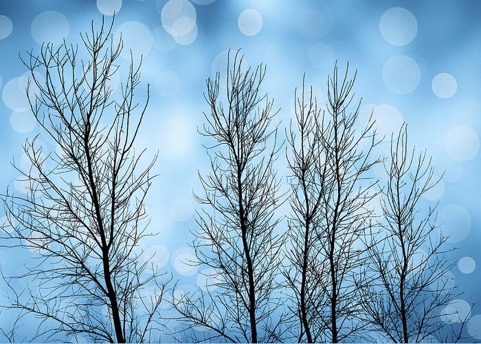 Bare Branches Greeting Card featuring the photograph Bare #1 by Cathy Kovarik