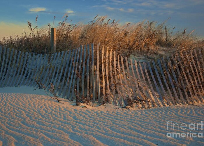 Beach Dunes Greeting Card featuring the photograph Beach Dunes #1 by Amazing Jules