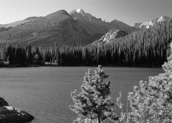 Landscapes Greeting Card featuring the photograph Bear Lake Monochrome by Eric Glaser