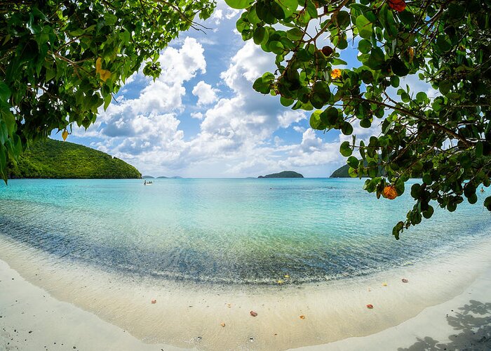 Caribbean Greeting Card featuring the photograph Beautiful Caribbean beach #1 by Raul Rodriguez