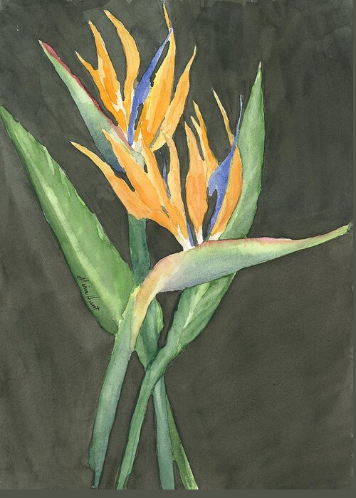 Watercolor Greeting Card featuring the painting Bird of Paradise #1 by Maria Hunt