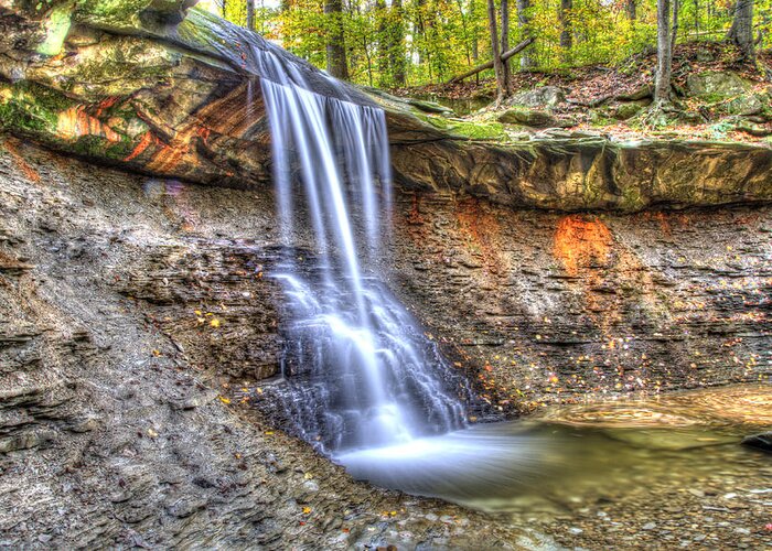 Blue Hen Falls Greeting Card featuring the photograph Blue Hen Falls in the Fall #1 by Carolyn Hall
