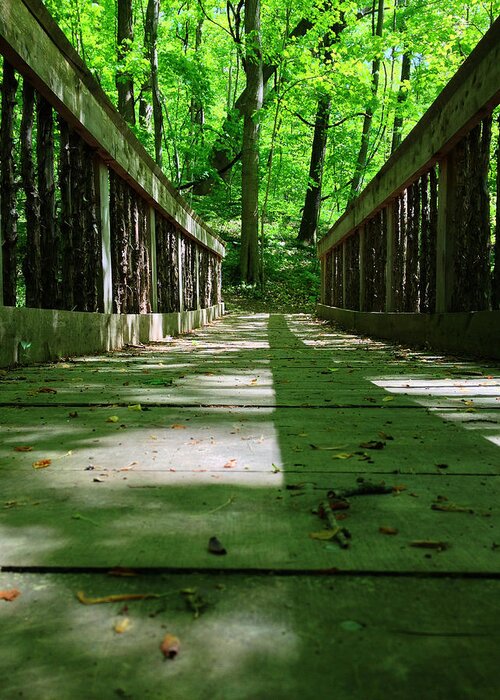 Bridge Greeting Card featuring the photograph Bridge in the woods #1 by Andrew Martin