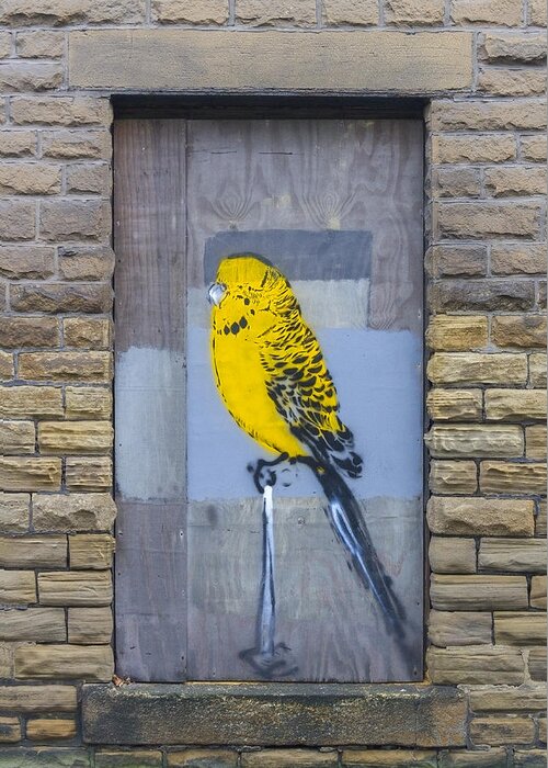 Grunge Greeting Card featuring the photograph Budgie graffiti #1 by Chris Smith